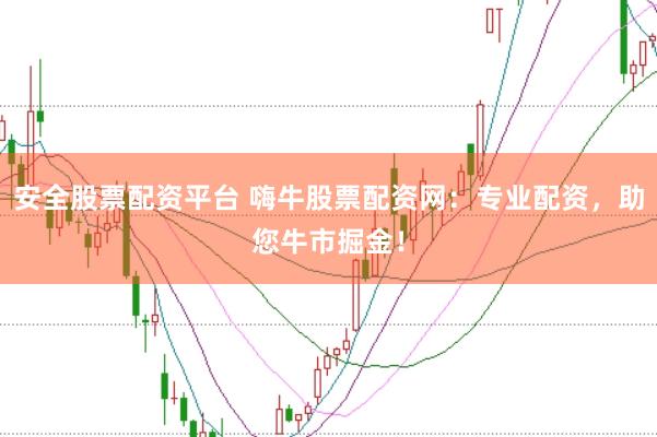 安全股票配资平台 嗨牛股票配资网：专业配资，助您牛市掘金！
