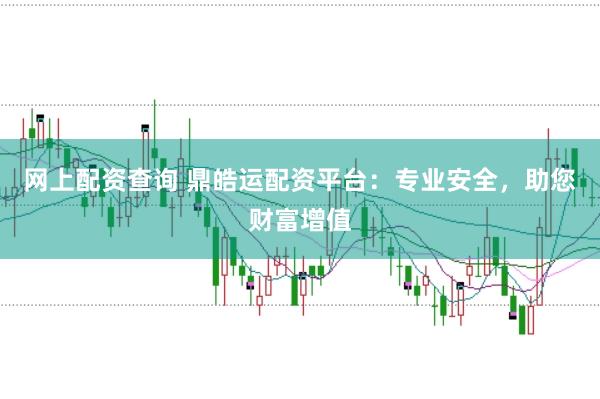 网上配资查询 鼎皓运配资平台：专业安全，助您财富增值