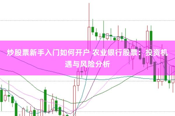 炒股票新手入门如何开户 农业银行股票：投资机遇与风险分析