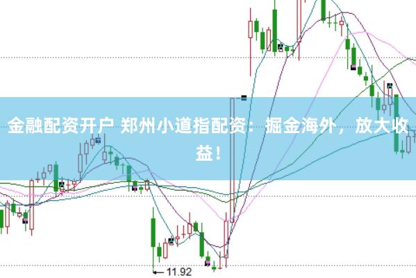 金融配资开户 郑州小道指配资：掘金海外，放大收益！