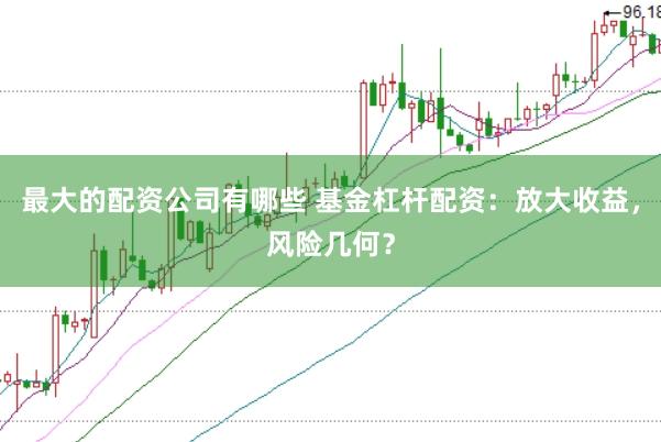 最大的配资公司有哪些 基金杠杆配资：放大收益，风险几何？