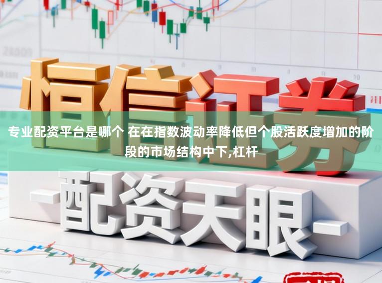 专业配资平台是哪个 在在指数波动率降低但个股活跃度增加的阶段的市场结构中下,杠杆